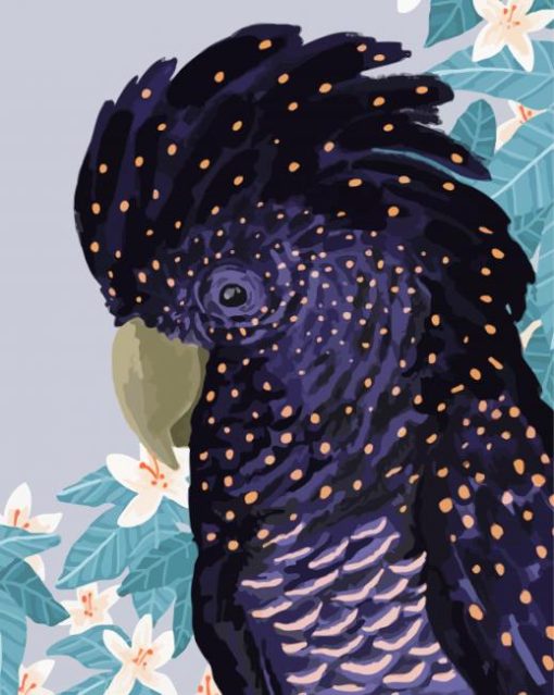 Black Cockatoo Illustration paint by numbers