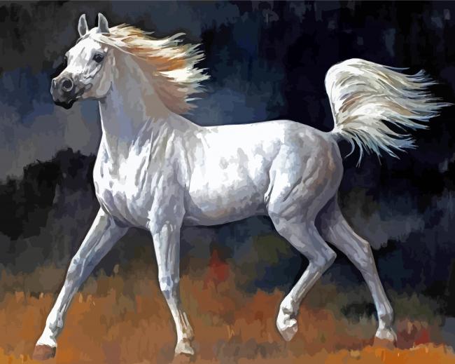 White Arabian Horse paint by numbers