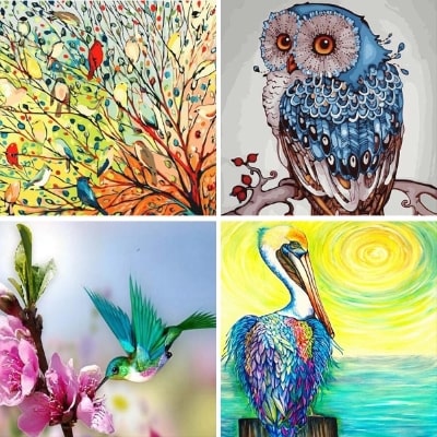 birds painting by numbers