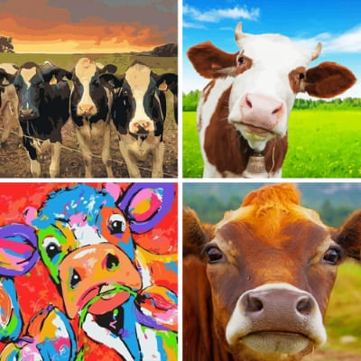cows painting by numbers