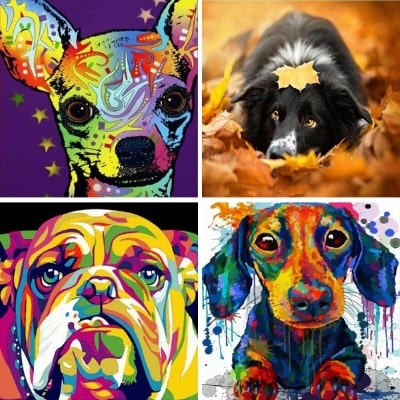 dog painting by numbers
