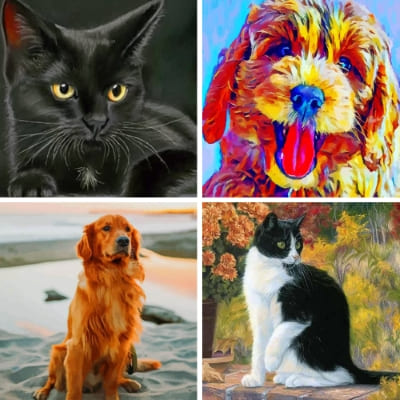 pet painting by numbers