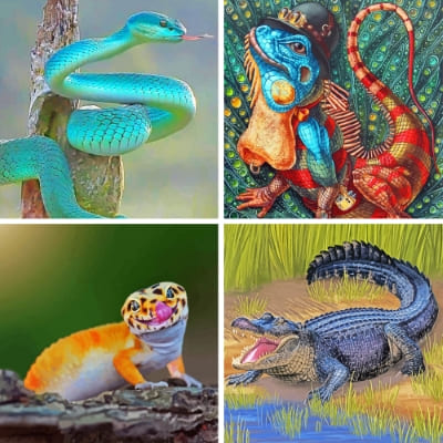 Reptile painting by numbers