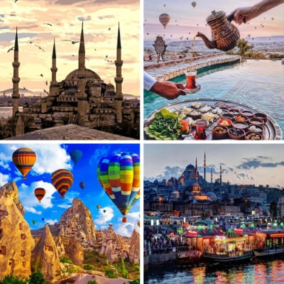 Turkey painting by numbers