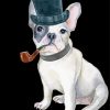 Bulldog With Hat paint by numbers