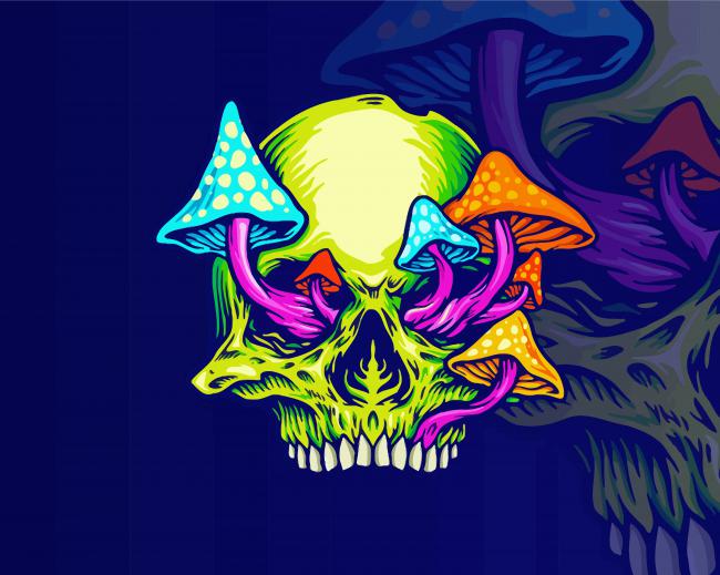 Colorful Mushroom Skull paint by numbers
