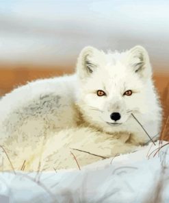 Snow Fox paint by numbers