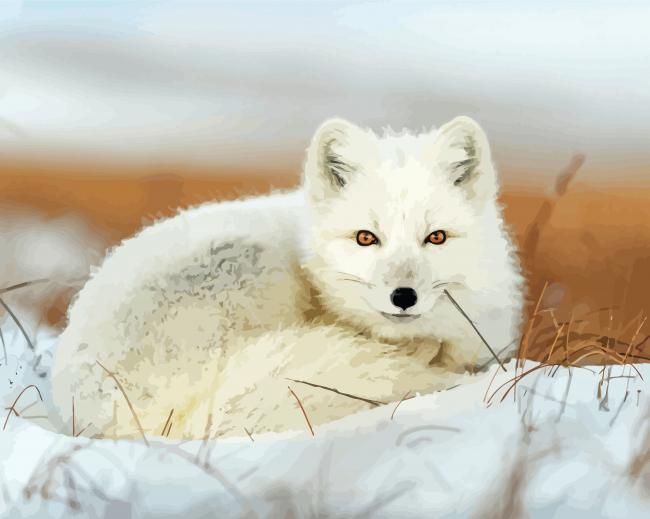 Snow Fox paint by numbers