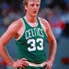 Basketball Player Larry Bird paint by numbers