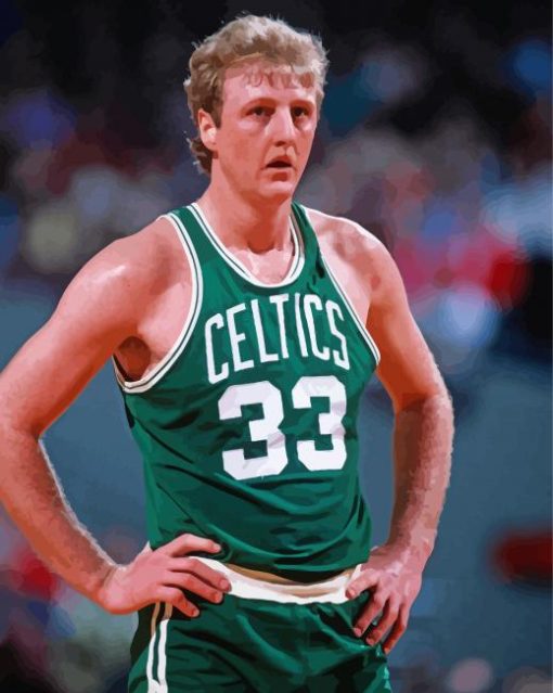 Basketball Player Larry Bird paint by numbers