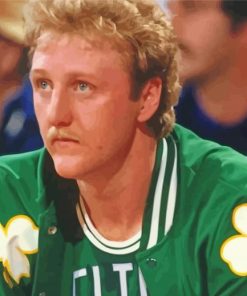 Basketballer Larry Bird paint by numbers
