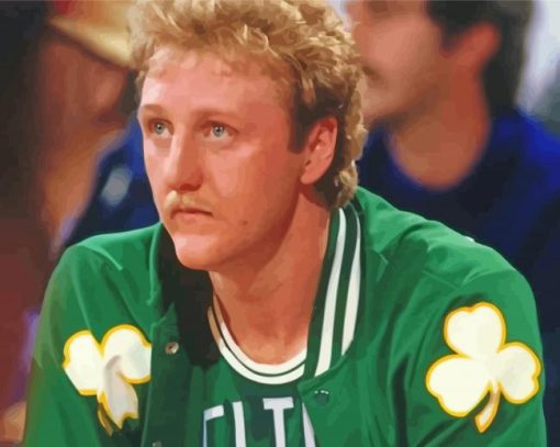 Basketballer Larry Bird paint by numbers