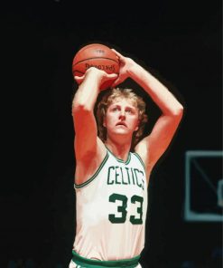 Young Larry Bird paint by numbers