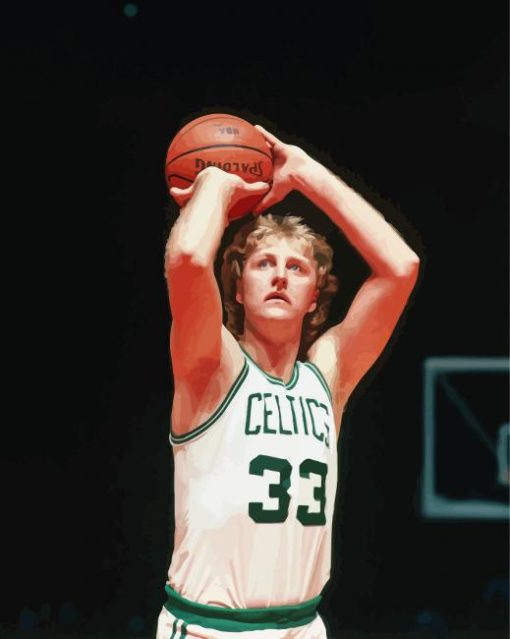 Young Larry Bird paint by numbers