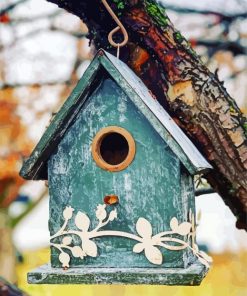 Bird House paint by numbers