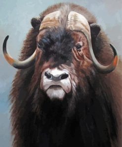 Muskox Animal paint by numbers