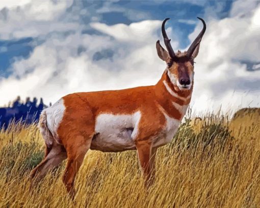 Pronghorn Deer paint by numbers