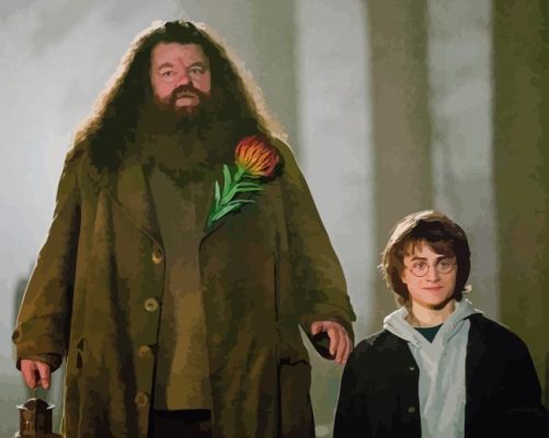 Rubeus Hagrid And Harry Paint By Numbers