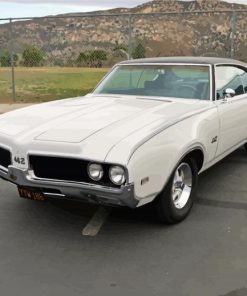 White 1969 Oldsmobile Paint By Numbers