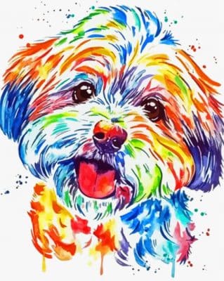 Colorful Shorkie Dog Paint By Number